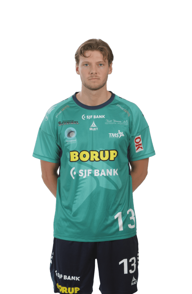 TMS Ringsted Birk Inselseth