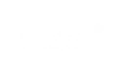 Ringsted - Midt i mulighederne